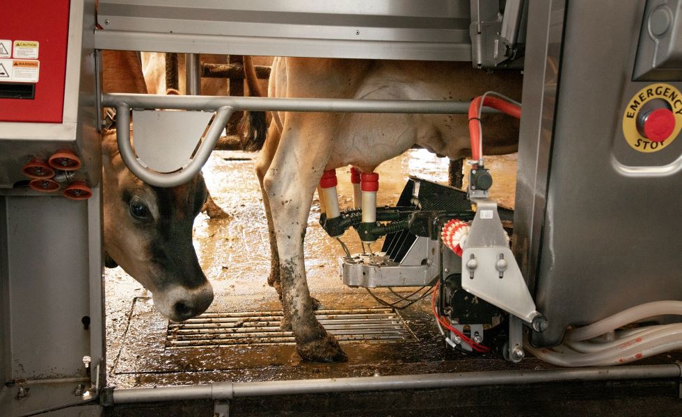 Slimme landbouw: hoe technologie je landbouwbedrijf efficiënter maakt