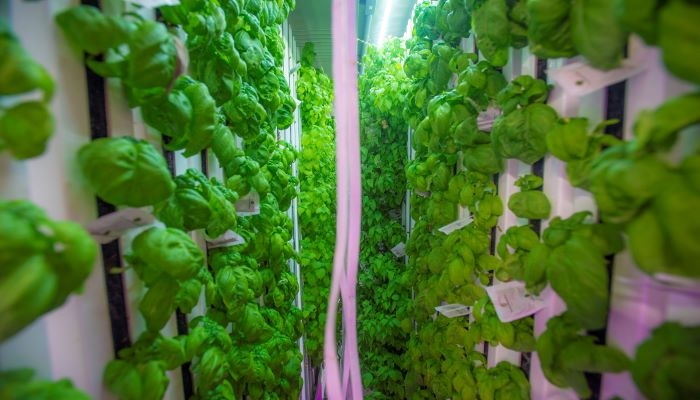 Slimme landbouw: hoe technologie je landbouwbedrijf efficiënter maakt