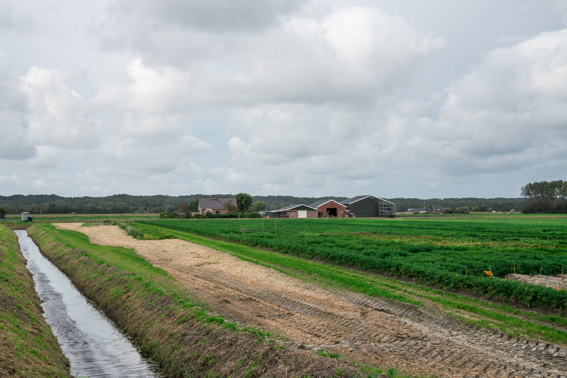 Slimme landbouw: hoe technologie je landbouwbedrijf efficiënter maakt