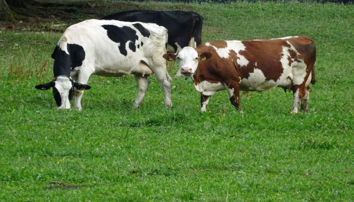 Pourquoi le développement durable est-il si important pour les agriculteurs ?