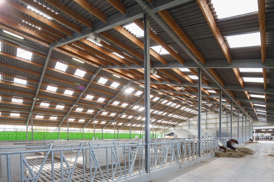 Waarom zou jij Eternit golfplaten van vezelcement kiezen voor de daken van je landbouwbedrijf?