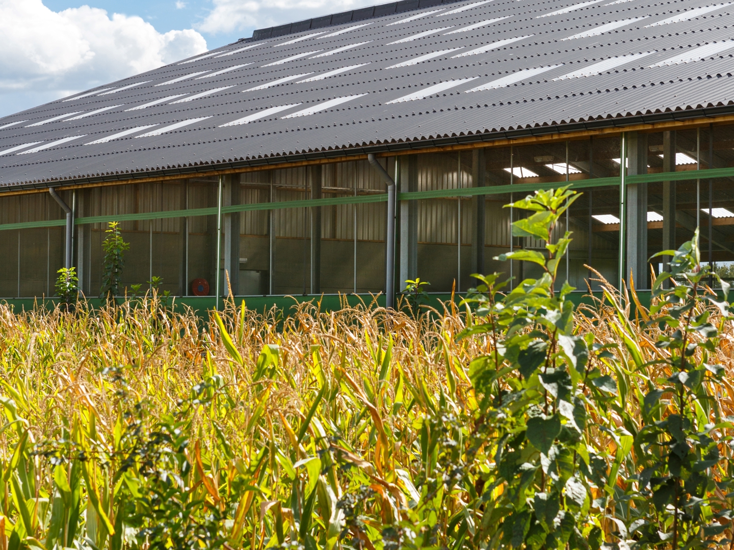 Voorwaarden Eternit Cash-Back