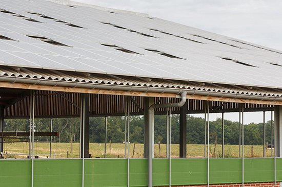 Stal met Ecolor Natural Grey vezelcement golfplaten van Eternit, Meensel-Kiezegem, België
