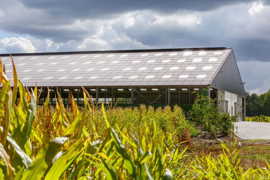 Eternit voor jouw boerderij
